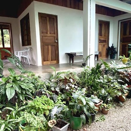 Casa Briza Guest House Nicoya Eksteriør bilde