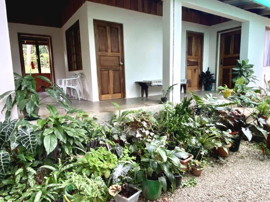 Casa Briza Guest House Nicoya Eksteriør bilde