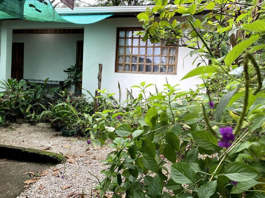 Casa Briza Guest House Nicoya Eksteriør bilde