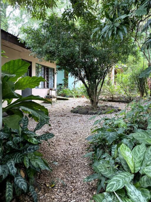 Casa Briza Guest House Nicoya Eksteriør bilde
